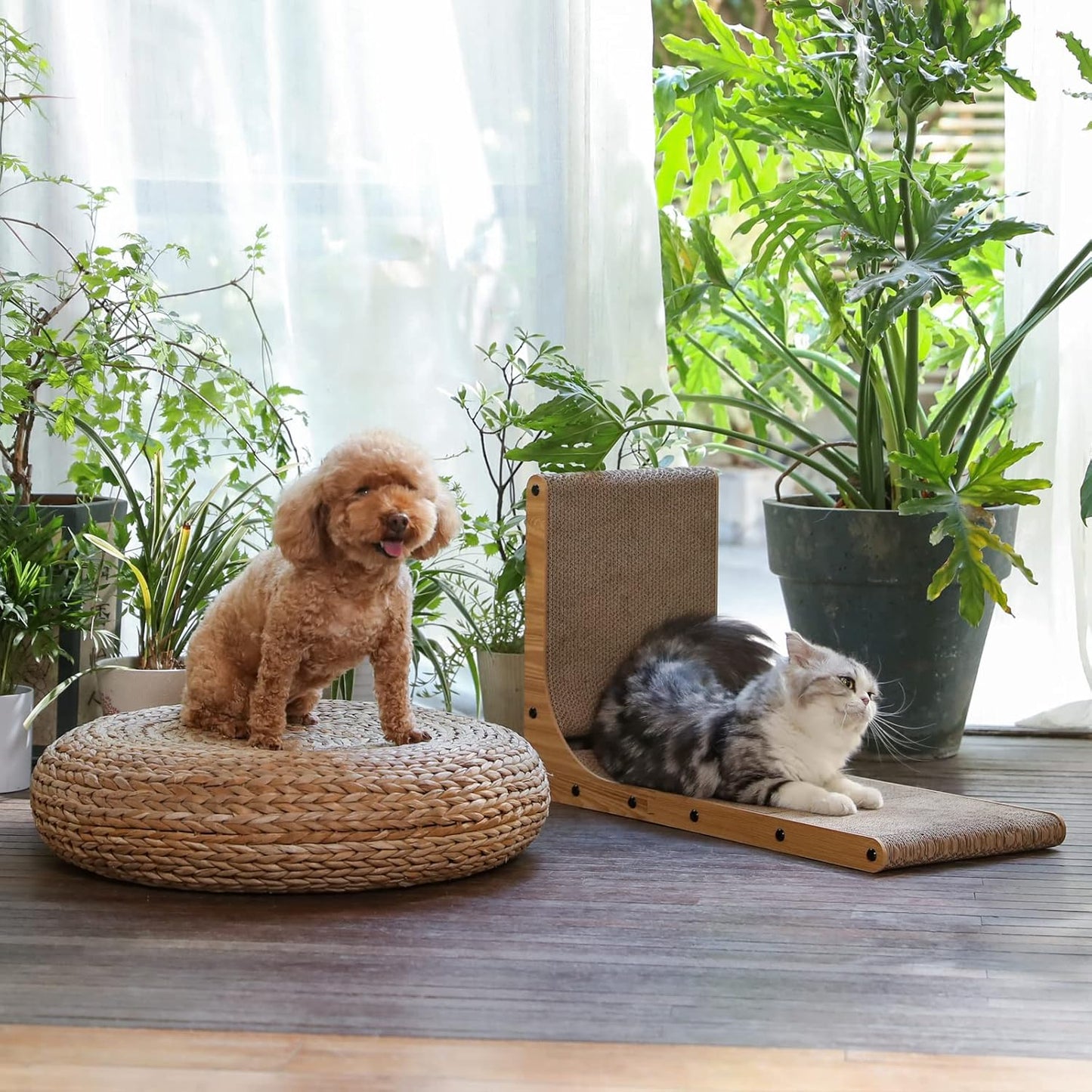 Scratching Wall Cat Tower with Ball Toy for Indoor Cats