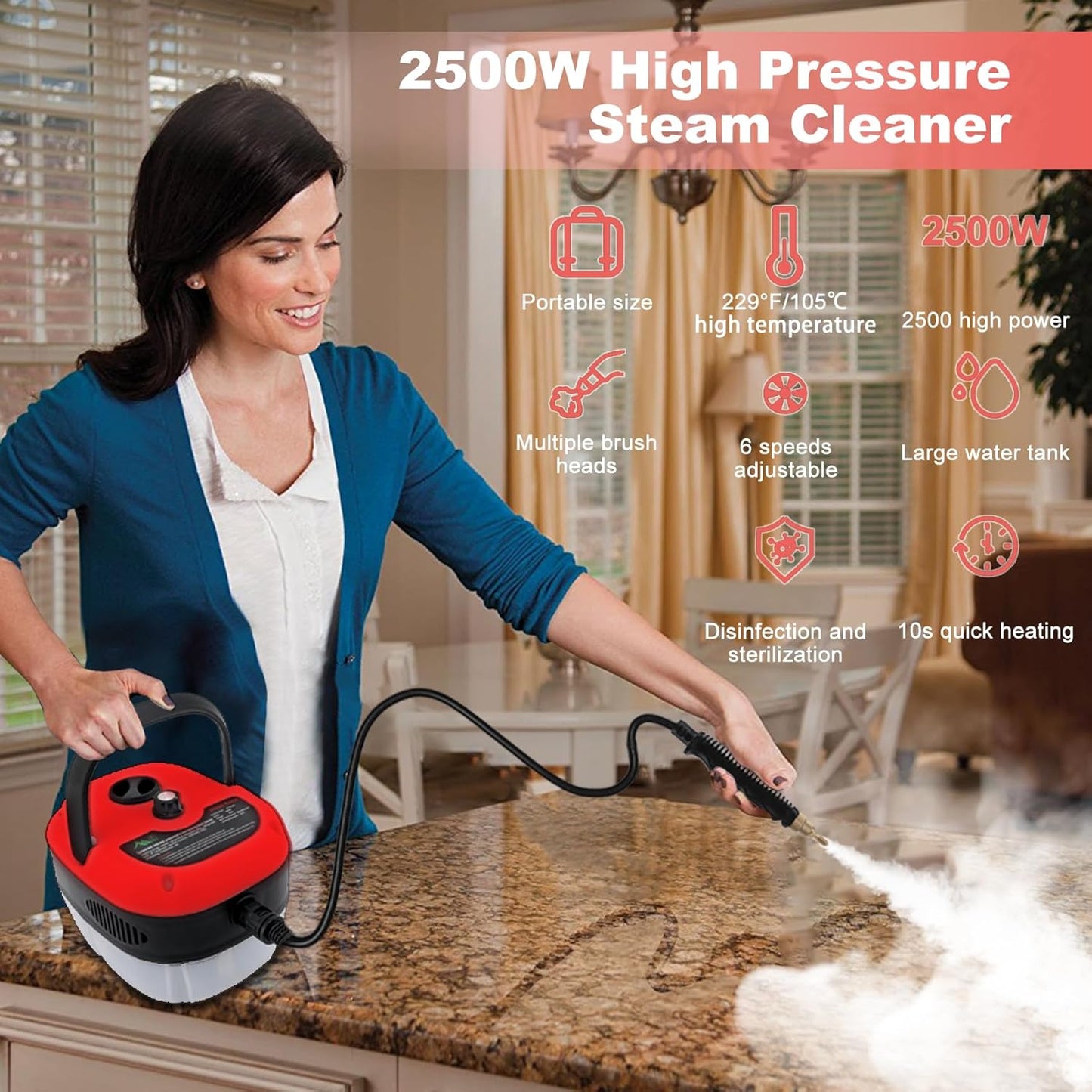 2500W Handheld Steam Cleaner